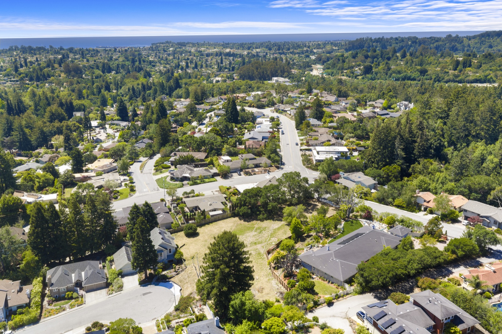 Aerial view of the tree-lined Carbonera neighborhood
